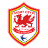 Cardiff City Statystyki
